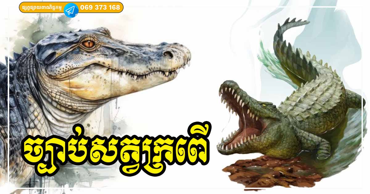 រៀនពីច្បាប់ក្រពើ! រៀនមេរៀនពីសត្វមួយនេះ ធានាថា អ្នកនឹងជោគជ័យ ហើយក៏សប្បាយចិត្ត