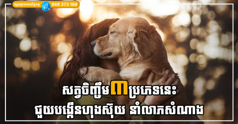 បុរាណបានទូន្មានថា ការចិញ្ចឹមសត្វទាំង៣នេះ នឹងជួយម្ចាស់ផ្ទះ មានជីវភាពធូរធារ និងបង្កើតថាមពលវិជ្ជមានក្នុងផ្ទះ