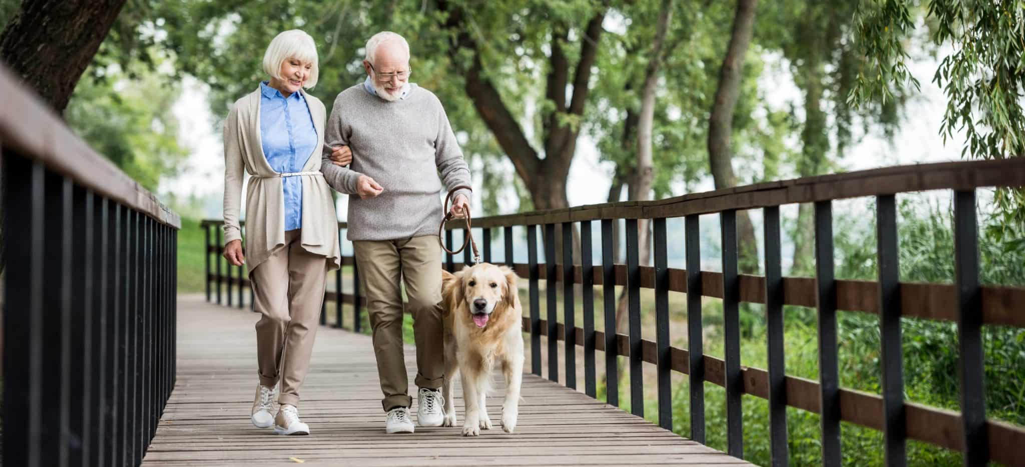 Promoting Physical Activity In Older Adults