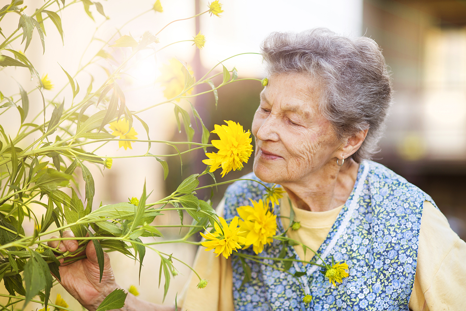 Senior Woman In Garden