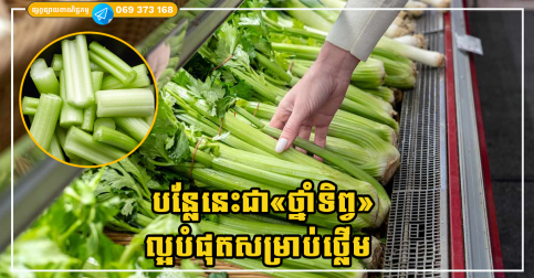 បន្លែនេះជា «ថ្នាំទិព្វ» សម្រាប់ថ្លើម ប៉ុន្តែមនុស្សជាច្រើនបានមើលរំលង
