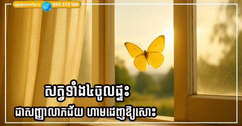 ព្រឹកឡើងឃើញសត្វទាំង៤នេះចូល ផ្ទះហាមដេញឱ្យសោះ ព្រោះវាជាសញ្ញាលាភជ័យ