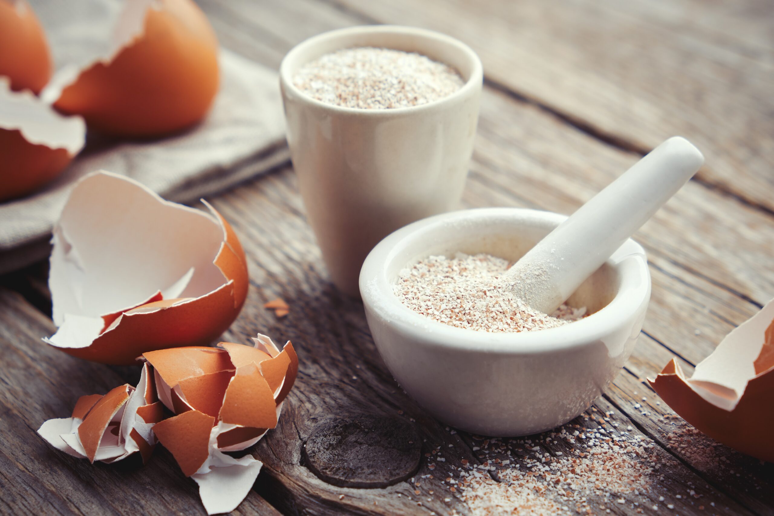Eggshells Scaled