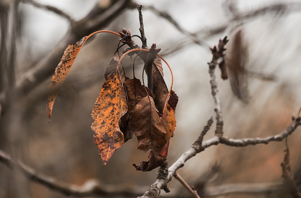 La Nature A Horreur Du Vide