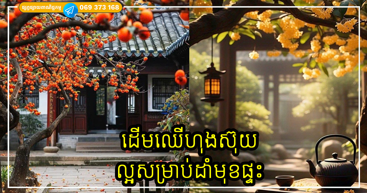 Cover Copy (2)