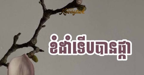 ការយល់ដឹងអំពីន័យធៀប៖ “ខំដាំទើបបានផ្កា” 🌸
