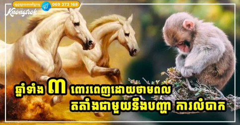 ឆ្នាំទាំង ៣ ជីវិតនឹងជោគជ័យខ្លាំង ព្រោះមានថាមពលមិនចេះធ្លាក់ចុះ