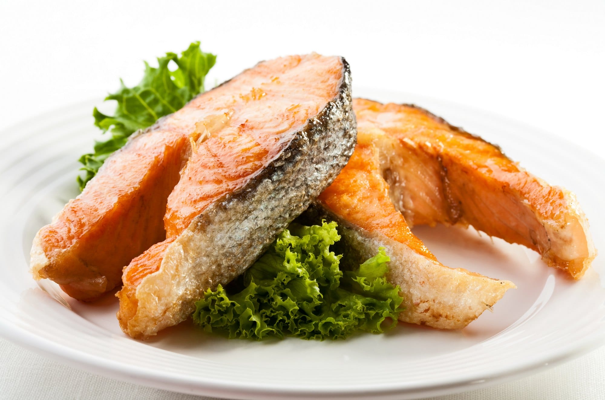 Fish Food
