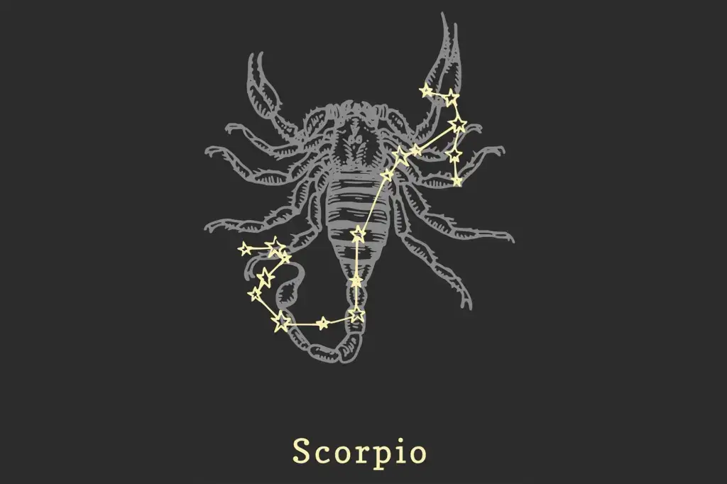 Zodiac Scorpio 08