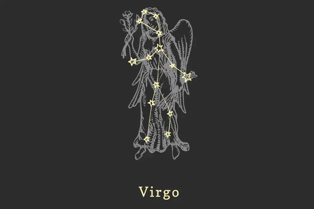 Zodiac Virgo 06