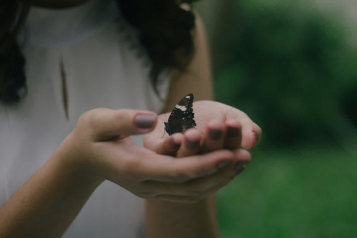 Reign Abarintos JMFo7nlYpUc Unsplash