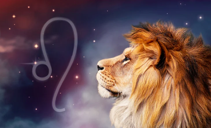 Leo Zodiac Feature