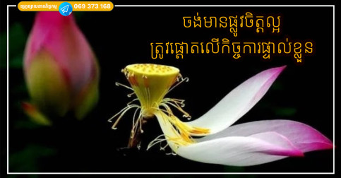 ចង់មានផ្លូវចិត្តល្អ ត្រូវចេះផ្តោតលើកិច្ចការផ្ទាល់ខ្លួនឲ្យបានល្អ កុំរវល់នឹងរឿងផ្សេងទៀត