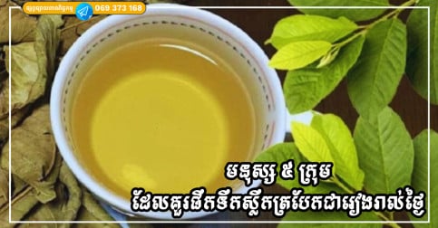 មនុស្ស ៥ ក្រុម ដែលគួរផឹកទឹកស្លឹកត្របែកជារៀងរាល់ថ្ងៃ ដើម្បីសុខភាព