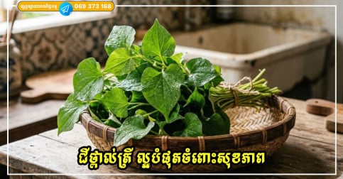ជីថ្ពាល់ត្រី គឺជាបន្លែដែលមានអត្ថប្រយោជន៍ចំពោះសុខភាព ដែលមនុស្សជាច្រើនមិនសូវបានដឹង