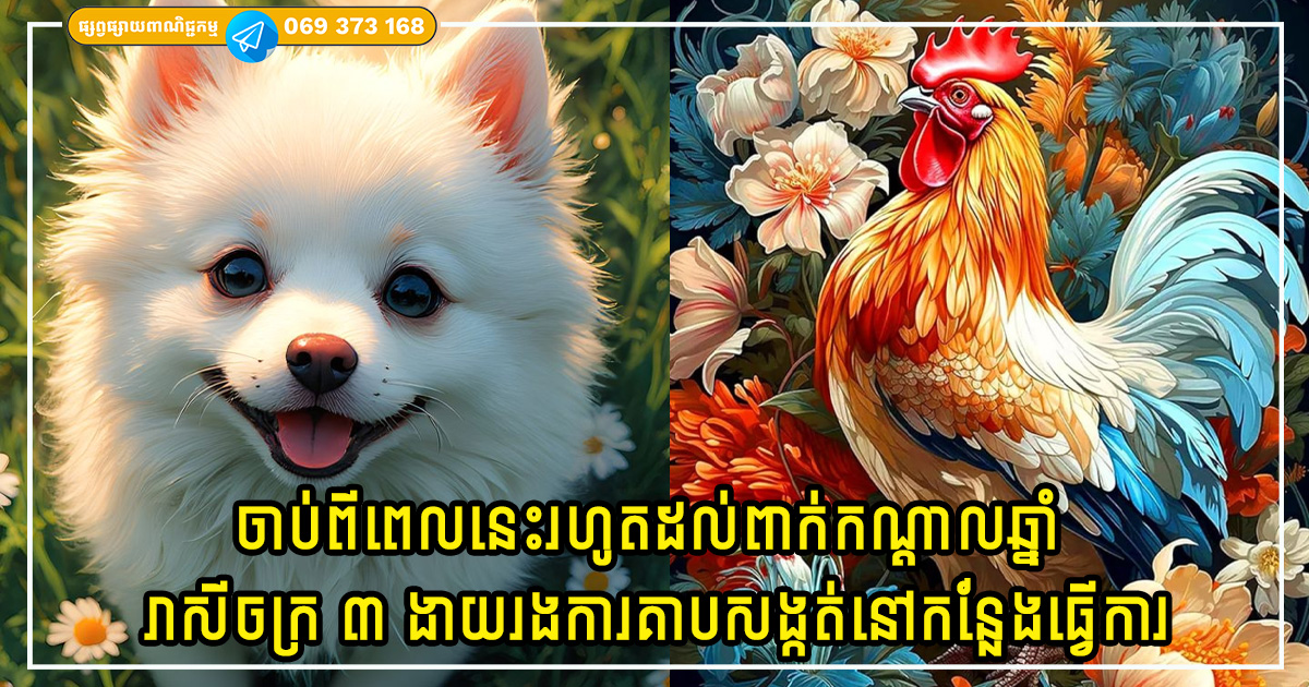 Cover Copy