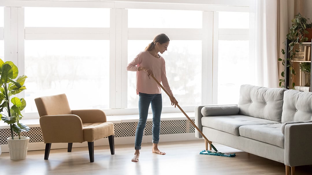 House Cleaning Checklist Portland Oregon