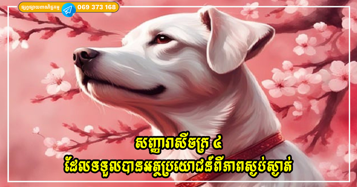 Cover Copy