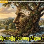 តើអ្នកឃើញអ្វីមុនគេ? អ្វីដែលអ្នកចាប់អារម្មណ៍មុនគេនឹងបង្ហាញពីរបៀបដែលអ្នកទាក់ទាញលុយ