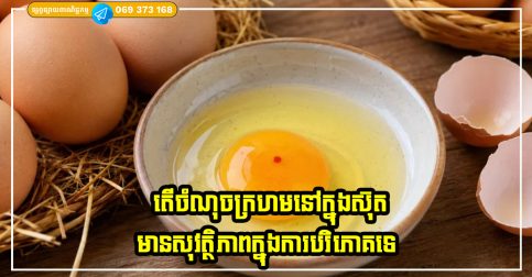 តើចំណុចក្រហមនៅក្នុងស៊ុត មានសុវត្ថិភាពក្នុងការបរិភោគទេ? តើវាបង្កគ្រោះថ្នាក់ដែរឬទេ? តោះមកដឹងការពិត!