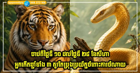 ចាប់ពីថ្ងៃទី ១០ ដល់ថ្ងៃទី ២៥ ខែសីហា អ្នកកើតឆ្នាំទាំង ៣ គួរតែប្រុងប្រយ័ត្នចំពោះការចំណាយ ជាពិសេសនៅពេលធ្វើដំណើរ ប្រយ័ត្នមានការខាតបង់