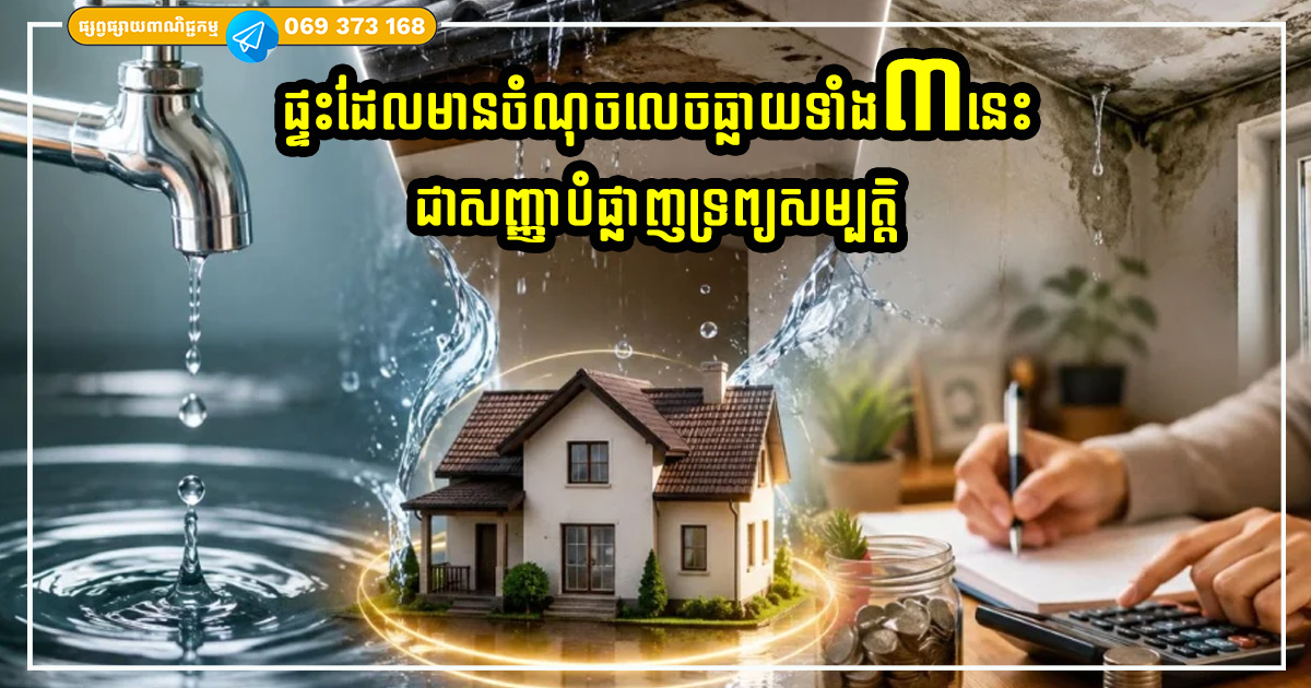 Cover Copy