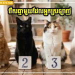 ជ្រើសរើសឆ្មាដែលអ្នកចូលចិត្ត វានឹងប្រាប់ពីអារម្មណ៍ពិតរបស់អ្នក