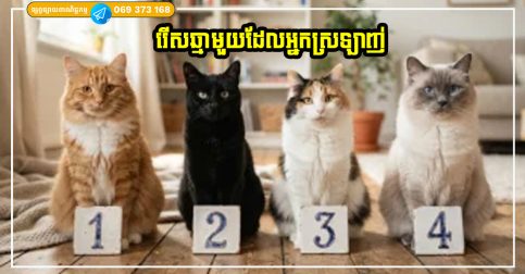ជ្រើសរើសឆ្មាដែលអ្នកចូលចិត្ត វានឹងប្រាប់ពីអារម្មណ៍ពិតរបស់អ្នក
