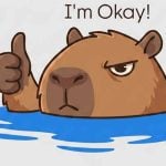 តស់! មកដឹងពី ‘Capybara Mode’៖ ផ្នត់គំនិតធ្វើការបែបសន្សំសុខ សុំផ្តោតតែតួនាទីខ្លួនឯង និងមិនទូលរែកបន្ទុកជំនួសអ្នកណា
