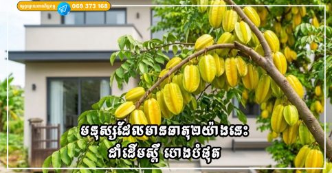 មនុស្សដែលមានធាតុ២យ៉ាងនេះ ដាំដើមស្ពឺ ហេងបំផុត អាចនាំមកនូវសំណាងល្អដល់ក្រុមគ្រួសារ!