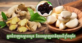 អាហារ «សម្អាតសួត» មានពិតមែនឬ? អាហារ ៦ ប្រភេទដែលការសិក្សាបង្ហាញថាល្អសម្រាប់សួត