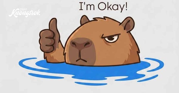 ស្គាល់ ‘Capybara Mode’៖ ផ្នត់គំនិតធ្វើការបែបស្ងប់ ផ្តោតតែតួនាទីខ្លួនឯង
